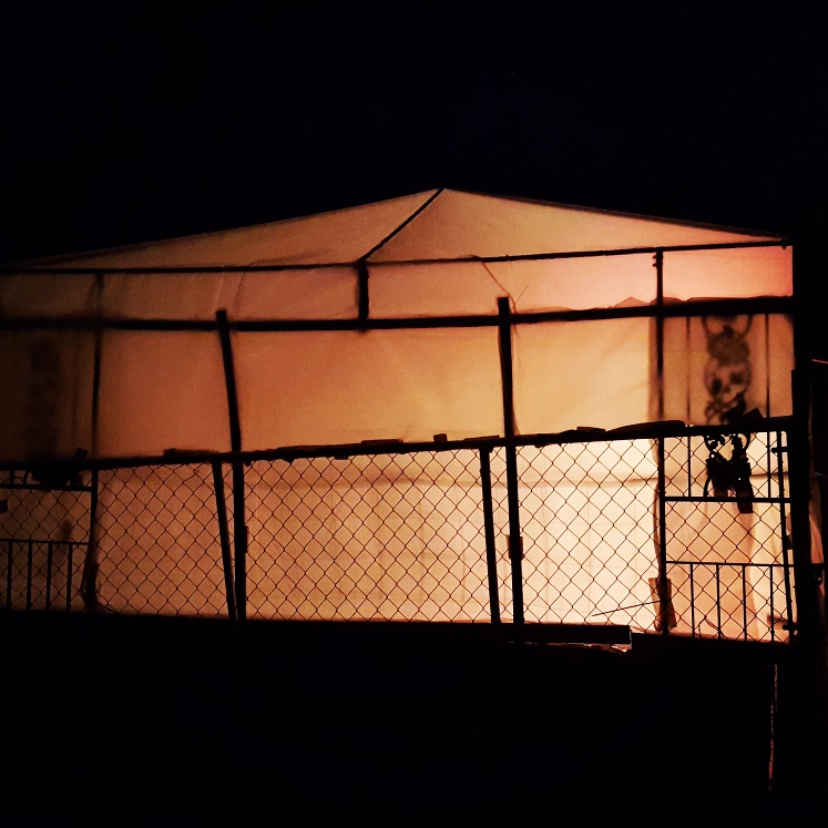 urban-homesteader